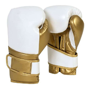 Blue 'Bison' boxing gloves